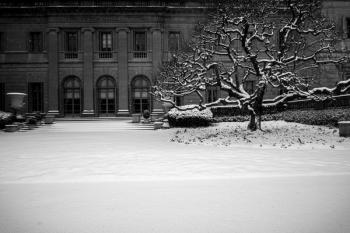 Frick Collection Winter Nº2 | Obraz na stenu