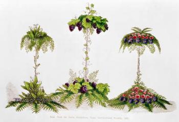 First Prize for Table Decoration, Royal Horticultural Society, 1851 (engraving) | Obraz na stenu