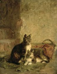 Cats, 1883 (oil on canvas) | Obraz na stenu