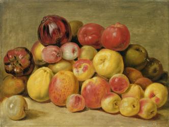 Pieces of Fruit (oil on oak panel) | Obraz na stenu