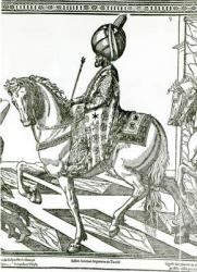 Portrait of Suleiman the Magnificent (engraving) | Obraz na stenu