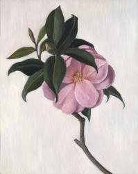 Camelia, 1998 (oil on canvas) | Obraz na stenu