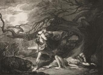 The Forest, The Rescue of Oliver, Act II, Scene VII, from 'As You Like It', from The Boydell Shakespeare Gallery, published late 19th century (litho) | Obraz na stenu