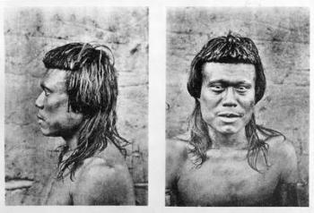 Portrait and profile of Bororo man of central Brazil, from 'Among the Primitive Peoples of Central Brazil 1887-1888', Karl von den Steinen, 1894 (b/w photo) | Obraz na stenu