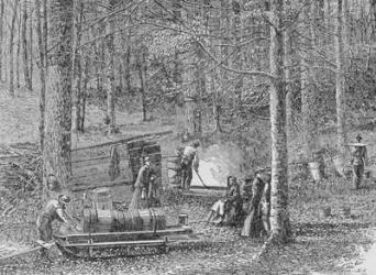 At the Maple Syrup Camp, illustration from 'Harper's Weekly', 1867, from 'The Pageant of America, Vol.3', by Ralph Henry Gabriel, 1926 (engraving) | Obraz na stenu
