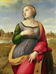 St. Catherine of Alexandria, 1507-8 (oil on panel) | Obraz na stenu