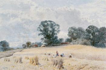 The Harvest | Obraz na stenu