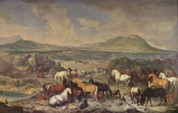 The Imperial Stud with Lipizzaner Horses | Obraz na stenu