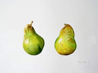 A Pair of Pears, 1997 (w/c on paper) | Obraz na stenu