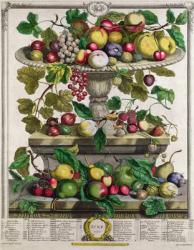 June, from 'Twelve Months of Fruits', by Robert Furber (c.1674-1756) engraved by Henry Fletcher, 1732 (colour engraving) | Obraz na stenu