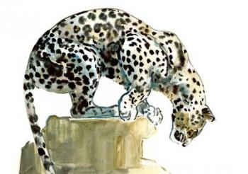 Spine (Arabian Leopard), 2015, (watercolour and gouache on paper) | Obraz na stenu