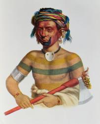 Shau-Hau-Napo-Tinia, an Iowa Chief, 1837, illustration from 'The Indian Tribes of North America, Vol.1', by Thomas L. McKenney and James Hall, pub. by John Grant (colour litho) | Obraz na stenu
