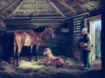English Mare With Her Foals, 1833 (oil on canvas) | Obraz na stenu