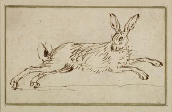 A Hare Running, With Ears Pricked (pen & ink on paper) | Obraz na stenu