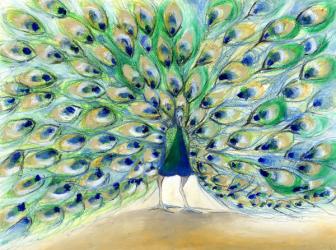 Peacock in San Diego 2, 2013, (oil on card) | Obraz na stenu