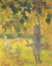 Man Picking Fruit from a Tree, 1897 (oil on canvas) | Obraz na stenu