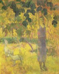 Man Picking Fruit from a Tree, 1897 (oil on canvas) | Obraz na stenu