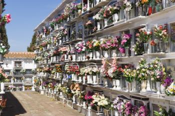View of the cemetery (photo) | Obraz na stenu