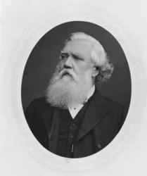 Portrait of Henry Layard, c.1880 (b/w photo) | Obraz na stenu