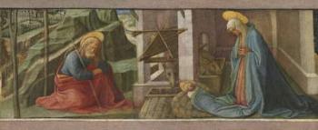 The Nativity, c.1445 (oil on panel) | Obraz na stenu