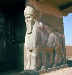 Winged human-headed bull, Neo-Assyrian Period, reign of Ashurnasirpal II (alabaster) | Obraz na stenu