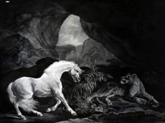 A Horse startled by a Lioness, engraved by Benjamin Green, 1774 (engraving) | Obraz na stenu