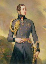 Portrait the Prince Consort Albert of Saxe-Coburg-Gotha (1819-1861), 1842 (oil on canvas) | Obraz na stenu