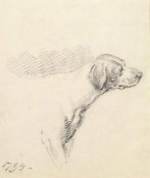 Study of a Hound, 1794 (pencil on paper) | Obraz na stenu