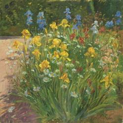 Oxeye Daisies Against the Irises (oil on canvas) | Obraz na stenu