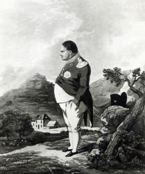 Napoleon on the island of St. Helena, 1820 (litho) | Obraz na stenu