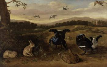 Black game, rabbits and swallows in a park, c.1700 (oil on canvas) | Obraz na stenu