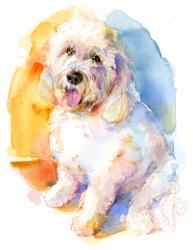 Oliver portrait, 2016, (watercolor) | Obraz na stenu