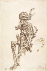 A Human Skeleton (pen & ink wash and pencil on paper) (recto) | Obraz na stenu