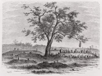 Cemetery and sacred tree in Mbinda, from 'The History of Mankind', Vol.1, by Prof, Friedrich Ratzel, 1896 (engraving) | Obraz na stenu