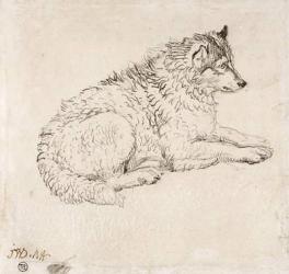 Arctic Dog, Facing Right (pencil on paper) | Obraz na stenu