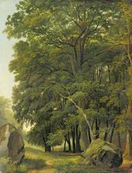A Wooded Landscape (oil on paper on panel) | Obraz na stenu