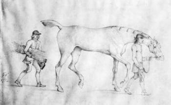 Horse and Grooms, 1754 (pencil on paper) | Obraz na stenu