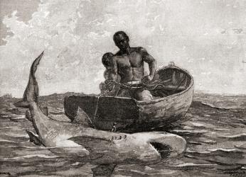 Shark Fishing, Nassau Bar. After a sketch by Winslow Homer. From The Century Magazine, published 1887. | Obraz na stenu