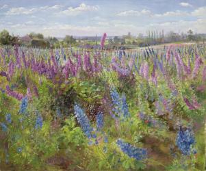 Delphiniums and Poppies, 1991 | Obraz na stenu