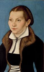 Portrait of Katherine von Bora (1499-1552) 1529 (oil on panel) | Obraz na stenu