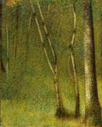 The Forest at Pontaubert, 1881 (oil on canvas) | Obraz na stenu