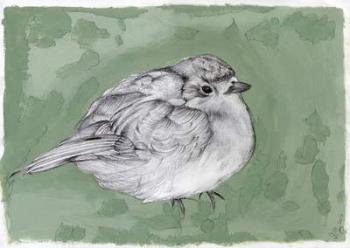 Plump Little Robin, 2012, (gouache, pencil on paper) | Obraz na stenu