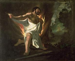 Hercules Tearing the Burning Robe, c.1634 (oil on canvas) | Obraz na stenu