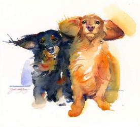 Dacshund Duo, 2014, (watercolor) | Obraz na stenu