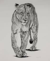 Pride Matriarch, 2005, (Charcoal on paper) | Obraz na stenu