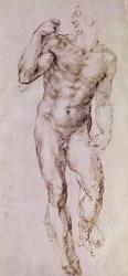 Sketch of David with his Sling, 1503-4 (pen & ink on paper) | Obraz na stenu