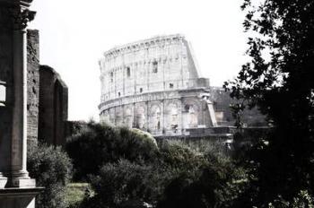 Roman Colosseum | Obraz na stenu