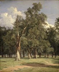 Elm trees in Prater, 1831 (oil on panel) | Obraz na stenu