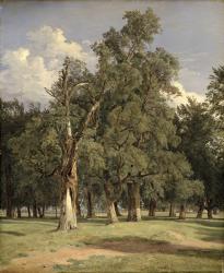 Elm trees in Prater, 1831 (oil on panel) | Obraz na stenu