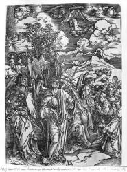 Scene from the Apocalypse, The Four Angels holding the winds, Latin edition, 1511 (woodcut) (b/w photo) | Obraz na stenu